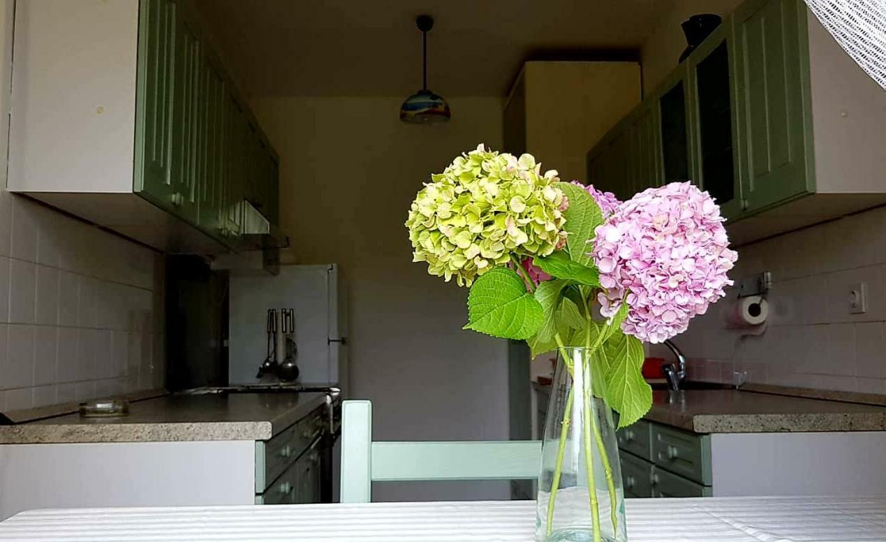 Apartmán Adelia Mali Lošinj Exteriér fotografie